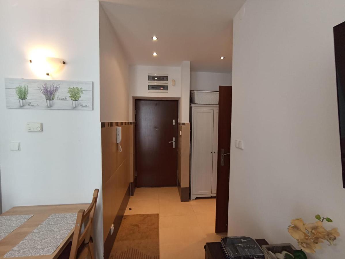 Apartament Wielopole 17 克拉科夫 外观 照片